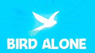 Image Bird Alone
